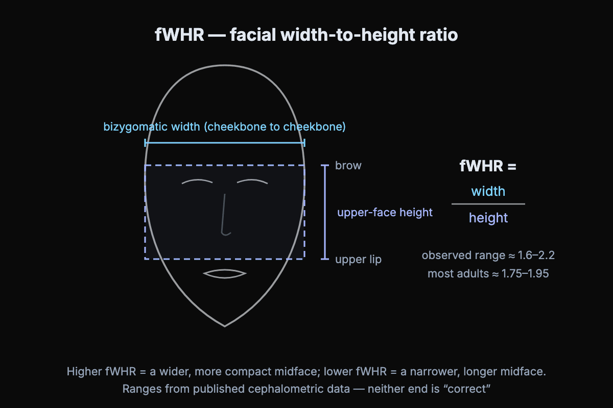 Diagram of facial width-to-height ratio (FWHR): a measurement rectangle over a face marking bizygomatic cheekbone width and upper-face height from brow to upper lip, with the formula FWHR equals width divided by height