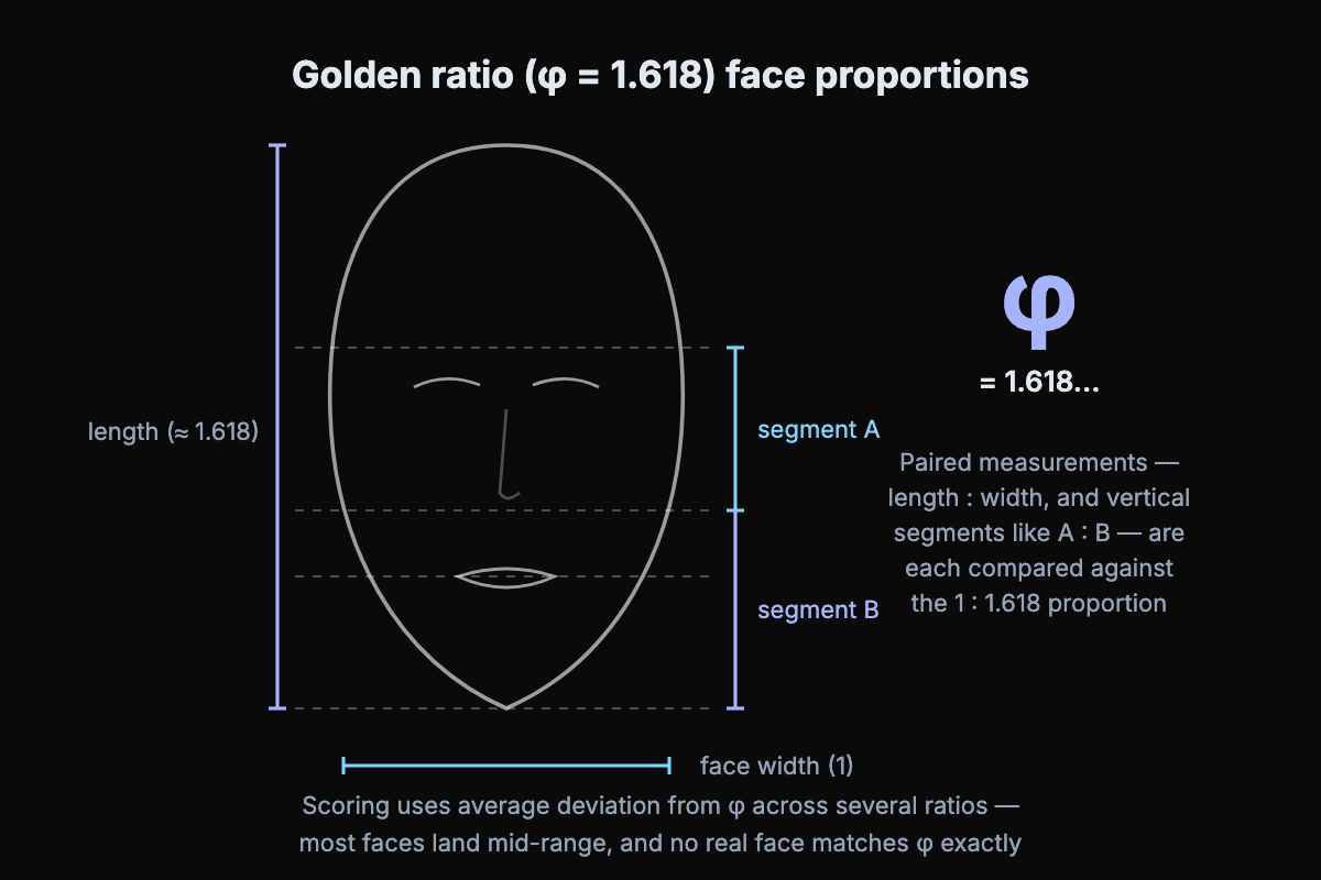 Golden ratio face diagram: a stylized face outline with measurement lines comparing face length to width and vertical segments against the phi proportion 1 to 1.618